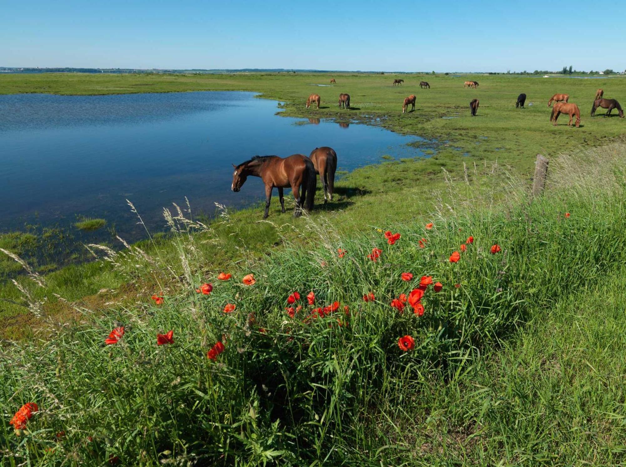 Haus Kulschewski Insel Poel Luaran gambar